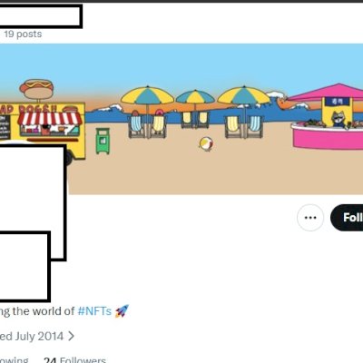 Twitter 2014 + Conta feminina + Foto de perfil e acesso ao email