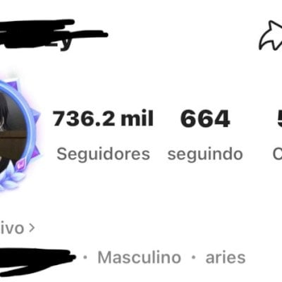 CONTA KWAI 736 MIL SEGUIDORES E 5.6M DE CURTIDAS