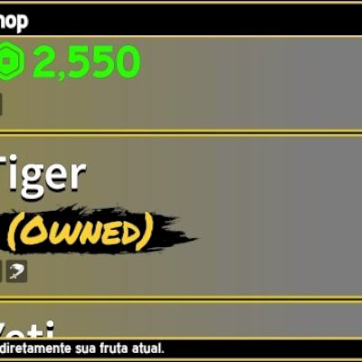 CONTA COM TIGER PERM, BUDDHA PERM E MUITAS OUTRAS COISAS