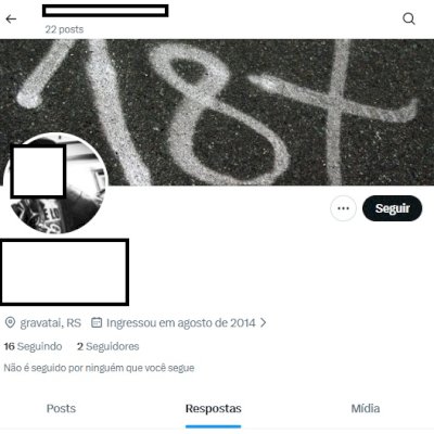 Twitter 2014 + Conta feminina + Foto de perfil e acesso ao email + Segura