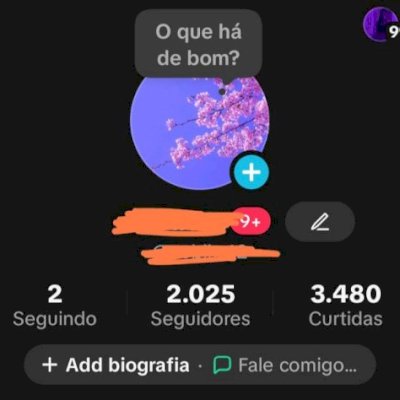 CONTAS TIKTOK SHOP BR | SEM DOC | PRONTA PRA USO | ENTREGA RÁPIDA