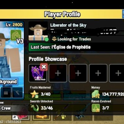 [LVL MAX - CONTA TOP] 3 Frutas Permanentes | Draco V3 | SanguineArt e Muito Mais