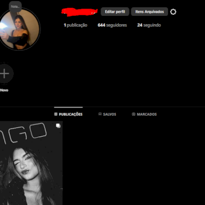 conta criada em 2020, com 800 seguidores