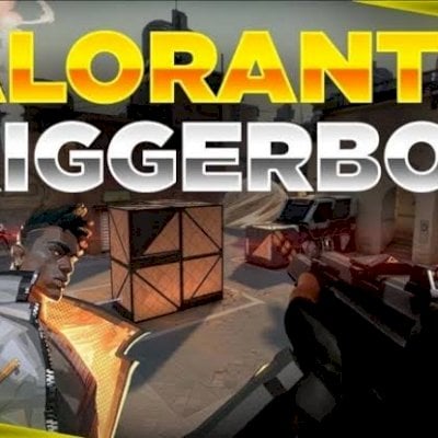 Hack valorant(atirador automático)triggerbot