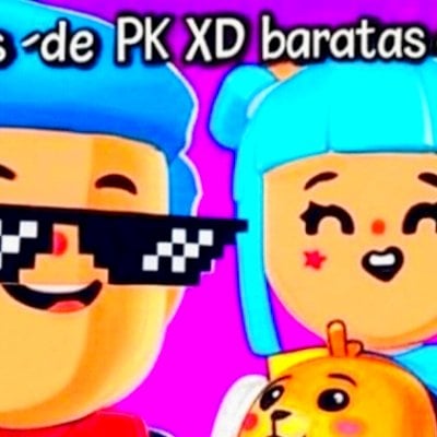 PKXD CONTAS SORTIDAS