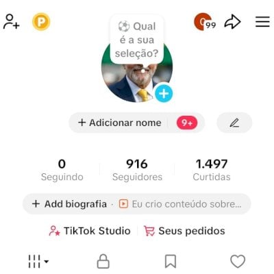 CONTA TIK TOK 916 SEG E 1,4K DE CURTIDAS (CONTAS TIK TOK)
