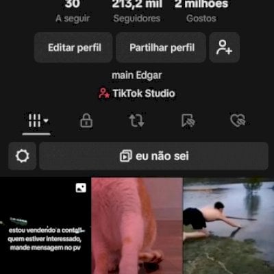 Conta com 213,2 mil de seguidores,com 2 milhões de curtidas e vídeos com milhões