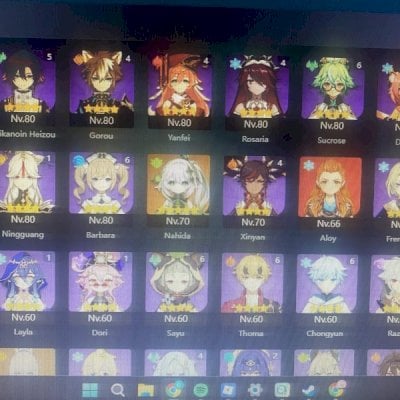 AR 60 CONTA GENSHIN SKIN AYAKA + SHENHE