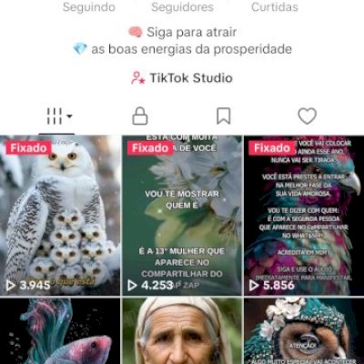 CONTA TIKTOK 🇧🇷 3K+ SEGUIDORES BR 🇧🇷 PROMOVER+SITE+LIVES+TROCAR NOME ✅