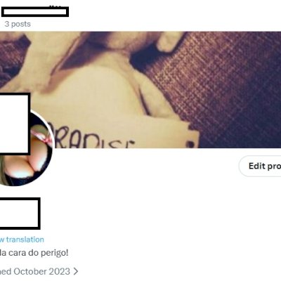 2023 Conta do Twitter Antiga X + Tematica LGBT feminino 18+ Acesso ao email