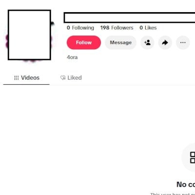 Tiktok Conta foreigner + Acesso email Conta segura 2024+ 180 seguidores