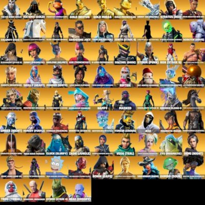 Conta fortinite wild cat e travis