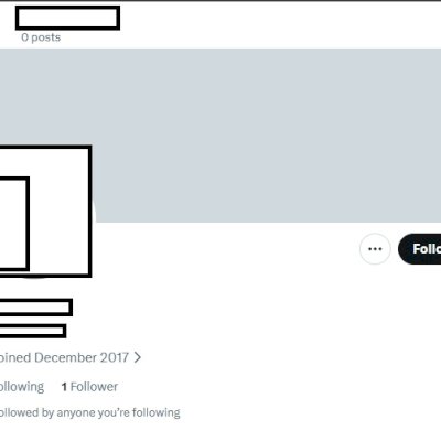Twitter 2017 + Conta feminina + Foto de perfil e acesso ao email + Hotmail, outl