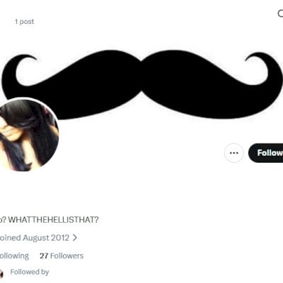 Twitter 2012 + 20 fol + Conta feminina + Foto de perfil e acesso ao email