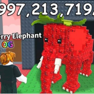 Vendo elefante de morango og dando 750 m por segundo