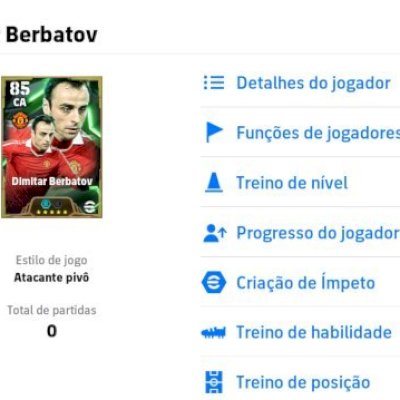 INICIANTE BERBATOV