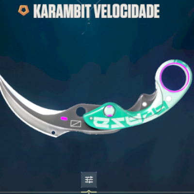 Conta full acesso de valorant com algumas skins