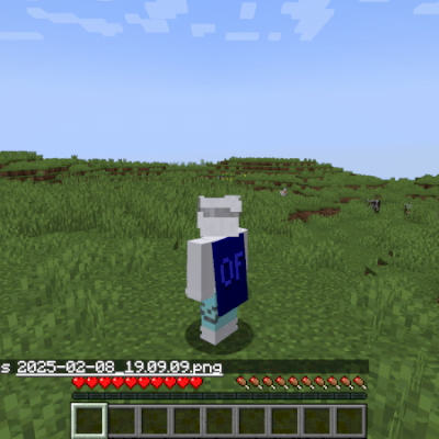 CONTA MINECRAFT FULL ACESSO + CAPA DA OPTFINE