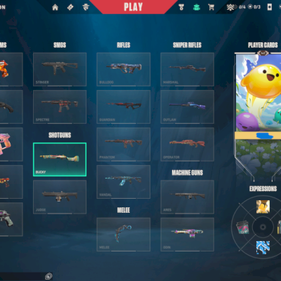 Conta valorant, com mais de 5800 gastos a venda pela metade do preço, imortal 1