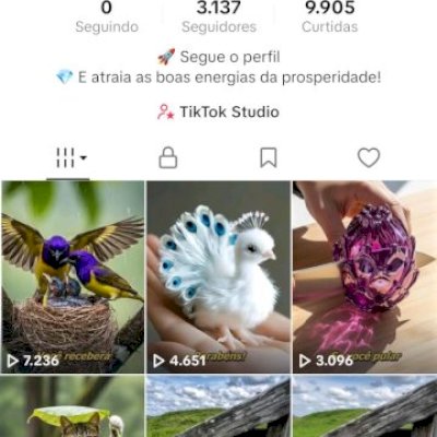 CONTA TIKTOK 🇧🇷 3K+ SEGUIDORES BR 🇧🇷 PROMOVER+SITE+LIVES+TROCAR NOME ✅
