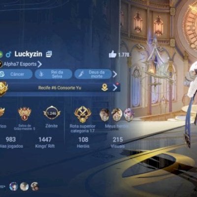 Conta com 215 skins Full hero e arcana máximo