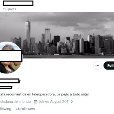 Twitter 2011 + Conta feminina + Foto de perfil e acesso ao email + Acesso total