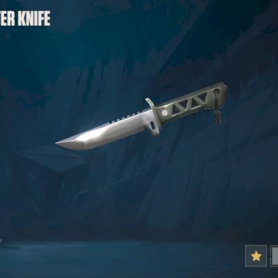 VALORANT Coleção de Skins de faca, vandal e phanthom:  900 reais gasto