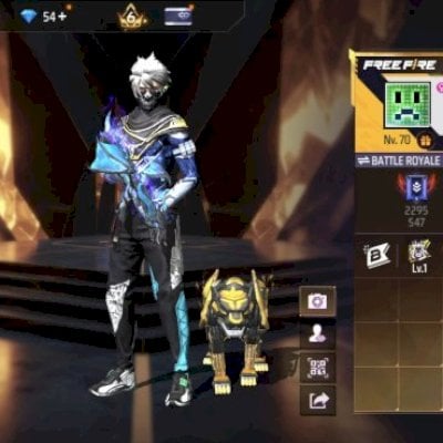 Conta de ff nível 70 prime 6 com 3 armas evolutivas ak,mp40,xm8