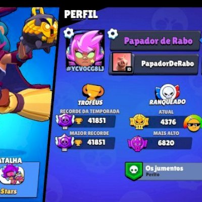 Conta desde 2021 com mais de 41 k de troféus e Todos os brawlers até agora.