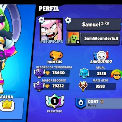 78k, 6 mestres + 1 prestígio, primeiro passe + skins muito raras, 25 lv max