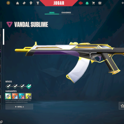 CONTA CUSTO BENEFICIO DE VALORANT COM SKIN,PERFEITA PARA INICIANTES