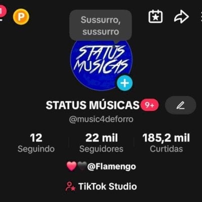 CONTA TIKTOK +22K SEGUIDORES ENGAJADA!