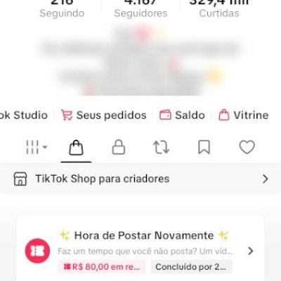 TikTok 4.1K Seguidores e 329K Curtidas | Entrega Imediata