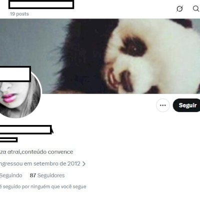 CONTA BR 2012 X Twitter + Acesso ao email + Conta segura + 100 seguidores reais