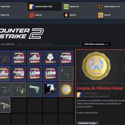 CONTA STEAM LEVEL 15 COM CSPRIME RDR2 RUST - WL HYPE E METROPOLE FIVEM