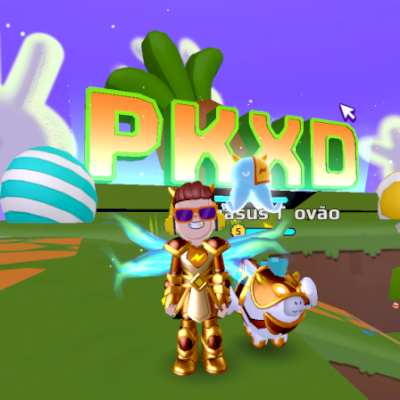 Conta de PK XD Com várias armaduras e pets