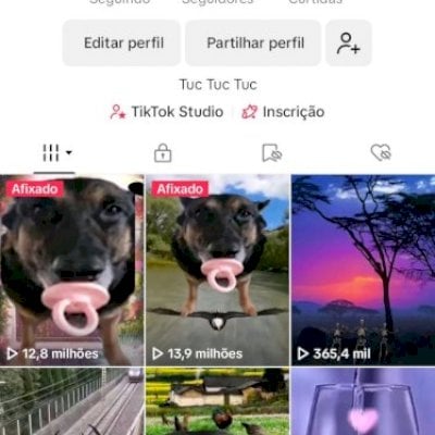 Conta Tiktok 60k seguidores 6M likes Público Orgânico, Todos os videos virais