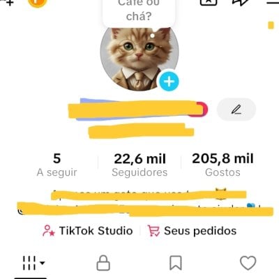 Vendo conta do tiktok com 22k de seguidores e 205k de curtidas