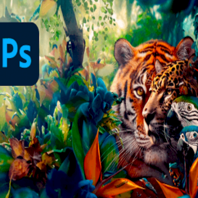 Programa de Ativação Adobe 2024 – 2019 + 2024  - Adobe Patch 2024