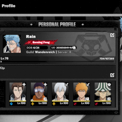 Bleach Soul Resonance