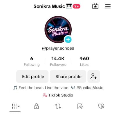 CONTA MONETIZADA TIKTOK ALEMANHA (POSTE QUALQUER NICHO)