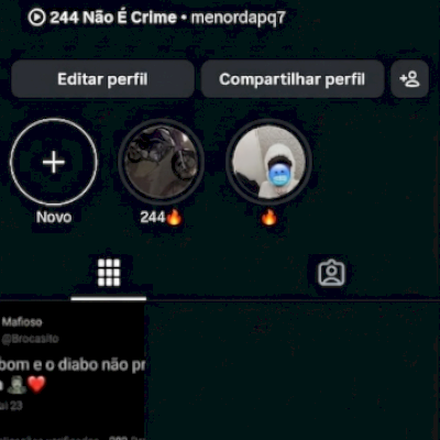 CONTA INSTAGRAM 500 SEGUIDORES COM FOTOS E VIDEOS