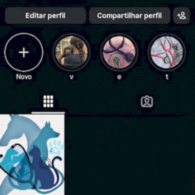 CONTA INSTAGRAM 100 SEGUIDORES COM FOTOS E VIDEOS