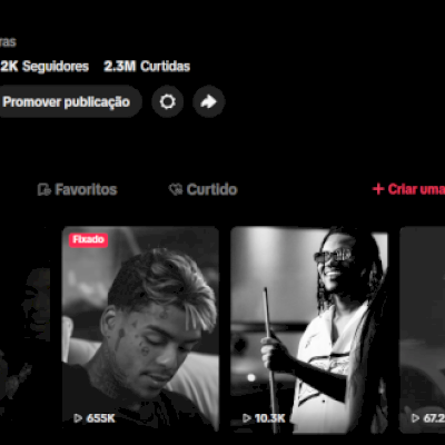 Conta com 13,2 k de seguidores e 2,3M de curtidas