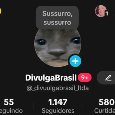 CONTA TIKTOK DE 2022🌟 1000 SEGUIDORES🌟 SITE+LIVES+TROCAR NOME✅ SEM PROMOVER❌