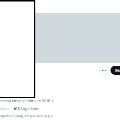 Twitter 2016 + Conta feminina + Foto de perfil e acesso ao email + Acesso total