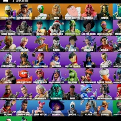 Conta de fortnite com skins tryhards e picaretas