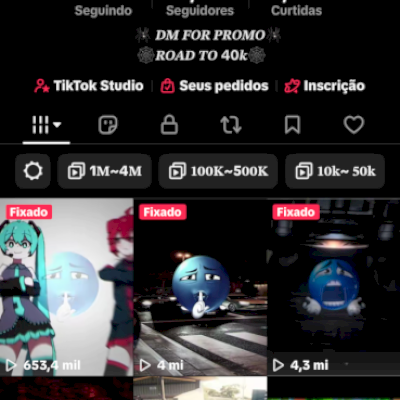 CONTA TIKTOK NETWORK