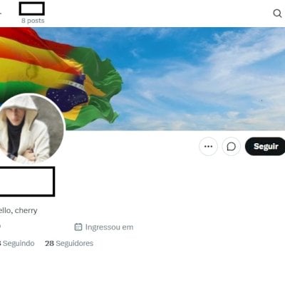 2010-2014 Conta do Twitter Antiga X + Tematica gay adulto +18