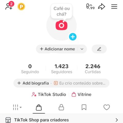 CONTA TIK TOK 1,4K DE SEG E 2,2K DE CURT (SHOP ATIVO) (CONTAS TIK TOK)